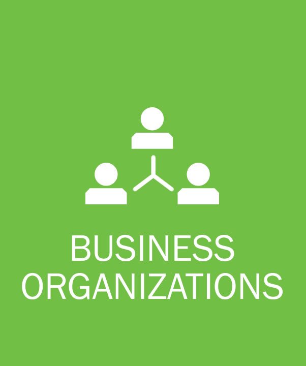 Business Organizations